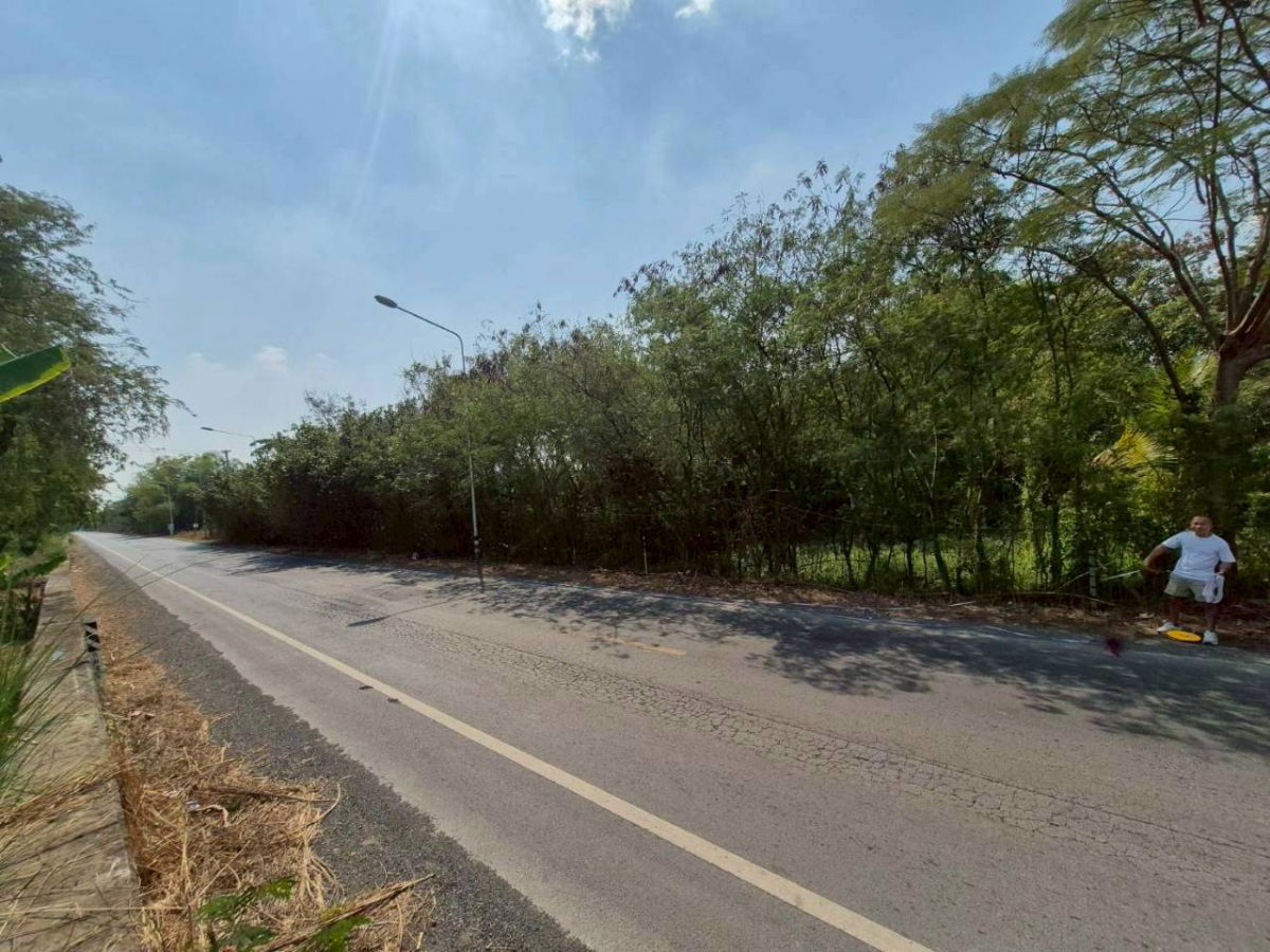 รูป 📍 ขายที่ดิน คลอง 13 หนองเสือ ปทุมธานี เนื้อที่ 31 ไร่ - รูปที่ 6/8