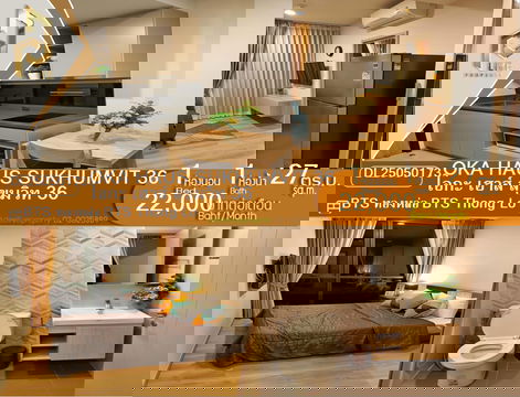 DL25050173 ให้เช่า คอนโด โอกะ เฮาส์ สุขุมวิท 36 (OKA HAUS Sukhumvit 36) พร้อมเข้าอยู่ โทรด่วน 0638692663 LineID@655ebbvc