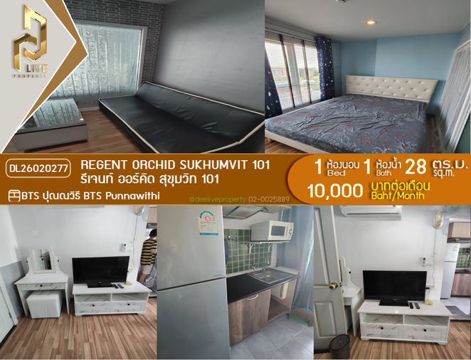 DL26020277 ให้เช่า คอนโด รีเจนท์ ออร์คิด สุขุมวิท 101 (Regent Orchid Sukhumvit 101) พร้อมเข้าอยู่ โทรด่วน 0800343450 LineID@655ebbvc