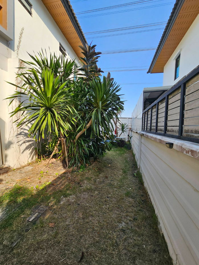 รูป 🏡 ให้เช่า บ้านเดี่ยวสไตล์ Tropical Resort ใกล้ Mega Bangna 🌿 🌬️ ระบบและการออกแบบเพื่อความเย็นสบายทั้งหลัง 🌿 ERV Clean Living 🏠 Smart Home - รูปที่ 23/24