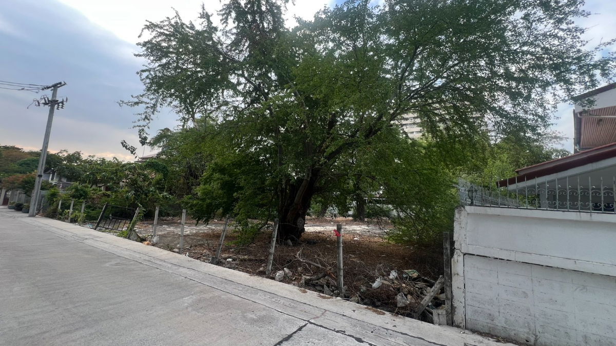 รูป ขายที่ดินสุขุมวิท สุขุมวิท50ซอย สวัสดี 0863377287 - รูปที่ 2/5