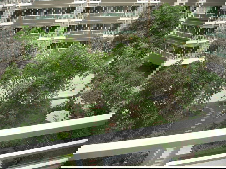 รูป บริดจ์ พหลโยธิน 37 รูปแบบห้อง 1 ห้องนอน, 1 ห้องน้ำ อาคาร B ชั้น 4 ขนาด 42.5 ตรม. - รูปที่ 7/8