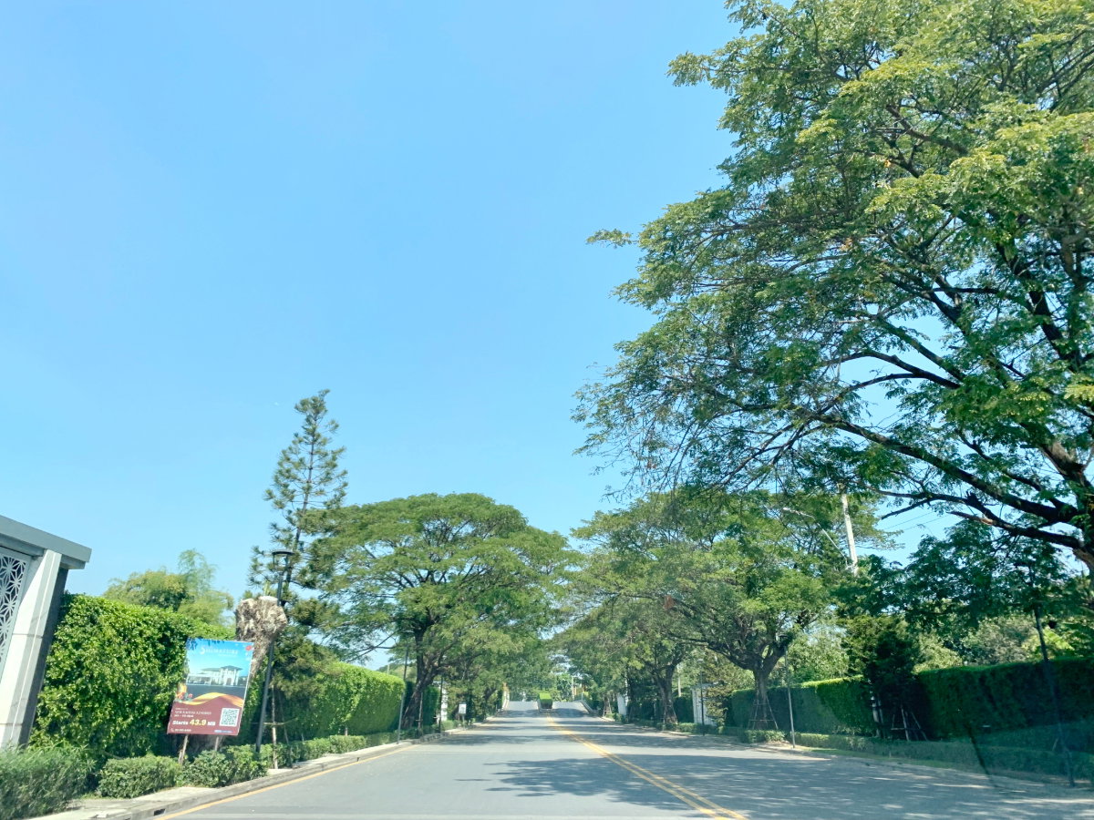 รูป ขายบ้านเดี่ยว 4 ห้องนอน พร้อมผู้เช่า เพอร์เฟค เพลส พระราม9-กรุงเทพกรีฑา - รูปที่ 39/41