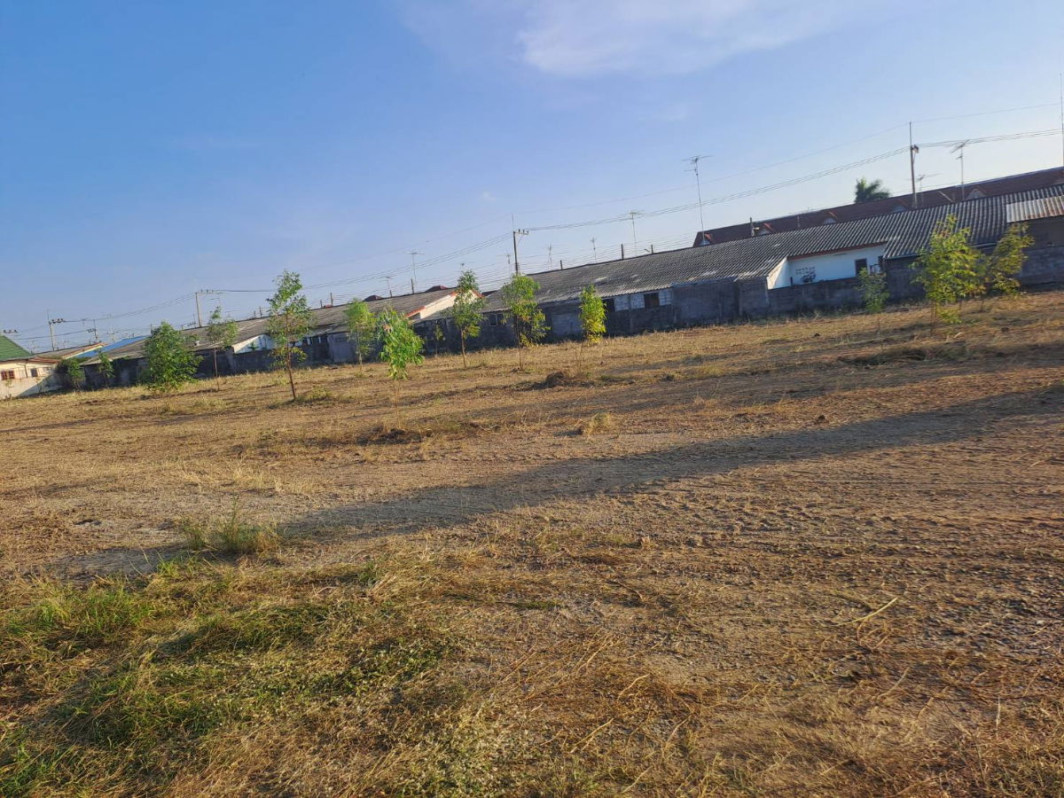 รูป ขายที่ดินทำเลดี สุพรรณบุรี ตำบลสนามไชย อำเภอเมืองสุพรรณบุรี หลังโครงการหมู่บ้านบัวคลี่ 8 ใกล้คลองสาธารณะ - รูปที่ 3/5