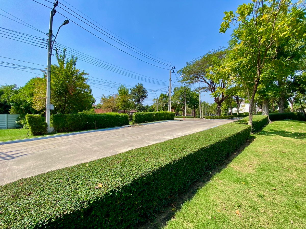 รูป 🏡 ให้เช่าบ้านเดี่ยวหรู หลังมุม โครงการ The City พัฒนาการ เฟส 1 (Pet Friendly) - รูปที่ 41/43