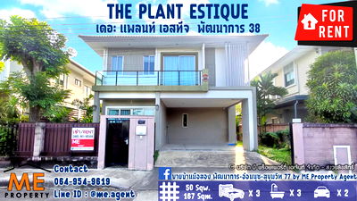 Houses for rent ม.นานาชาติแสตมฟอร์ด : Rent  The Plant Estique Pattanakarn 38 𝘀𝗶𝗻𝗴𝗹𝗲 𝗵𝗼𝘂𝘀𝗲  garden view with fully furnished 3bedroom  Call 064-954-9619 (RBE14-50)