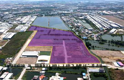 ที่ดิน สมุทรปราการ : ขายที่ดิน ผังสีม่วง 78-3-30.8 ไร่ พระสมุทรเจดีย์ สมุทรปราการ