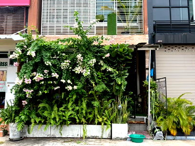 เช่าอาคารพาณิชย์ กรุงเทพมหานคร : ให้เช่าอาคารพาริชย์ 4 ชั้นครึ่ง