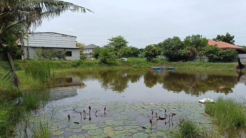 รูป ขายที่ดินแปลงสวย พร้อมสิ่งปลูกสร้าง ตะเคียนเตี้ย บางละมุง ชลบุรี  - รูปที่ 9/12