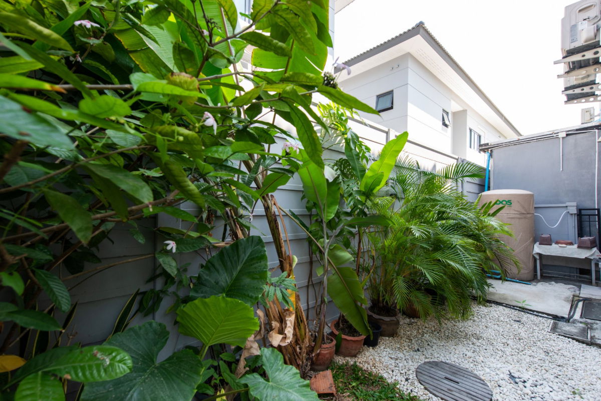 รูป 🟨🟧🟥HBN0253-02 บ้านแฝดแกรนด์ พลีโน่ เมกา บางนา 💌LINE : @274bgkdg🟥🟧🟨 - รูปที่ 16/57