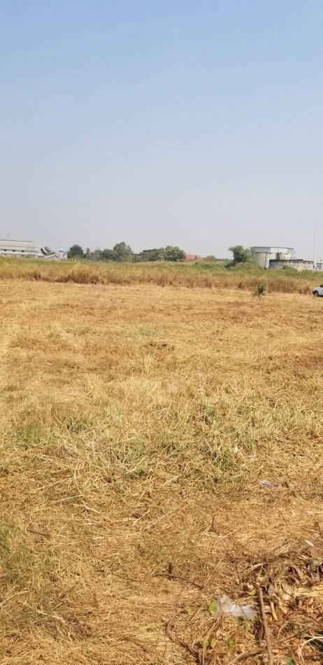 Land for sale, zoned purple, 16 rai 1 ngan 90 square wah, Selling price is 5.5 million baht per rai. Frontage on two sides of the road.