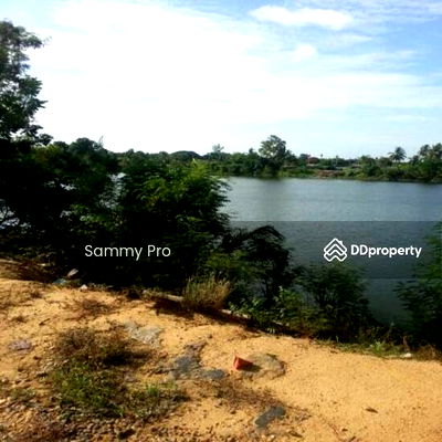 ที่ดิน สวนรุกขชาติกำแพงแสน : ขายที่ดินเปล่า  (ห้วยหมอนทอง) อ.กำแพงแสน จ.นครปฐม