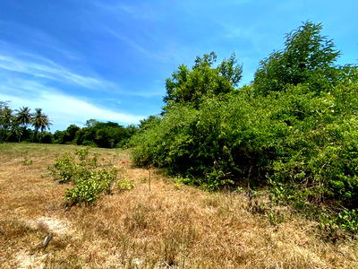 ที่ดิน ทับสะแก ประจวบคีรีขันธ์ : K00639 ขายที่ดินพร้อมสิ่งปลูกสร้าง ตำบลห้วยยาง อำเภอทับสะแก ประจวบคีรีขันธ์