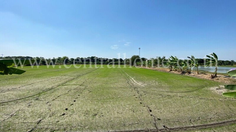 รูป ที่ดินเปล่า 1-1-65.5 ไร่ ไทรงาม บางเลน นครปฐม - รูปที่ 8/10