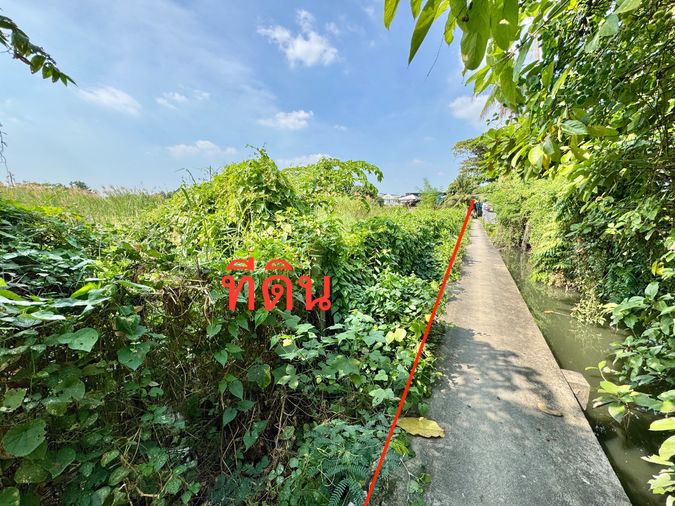 Land for sale, 2442 sq wah, Chom Thong