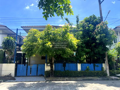 บ้านเดี่ยว ถนนพระองค์เจ้าสาย คลอง 4 : ขายบ้าน  เดอะทรัสต์ รังสิต คลอง 4 ลาดสวาย ลำลูกกา ปทุมธานี CX-123256 ✅ ทักไลน์ @connexproperty ตอบทันที ทีมงานมืออาชีพ ✅