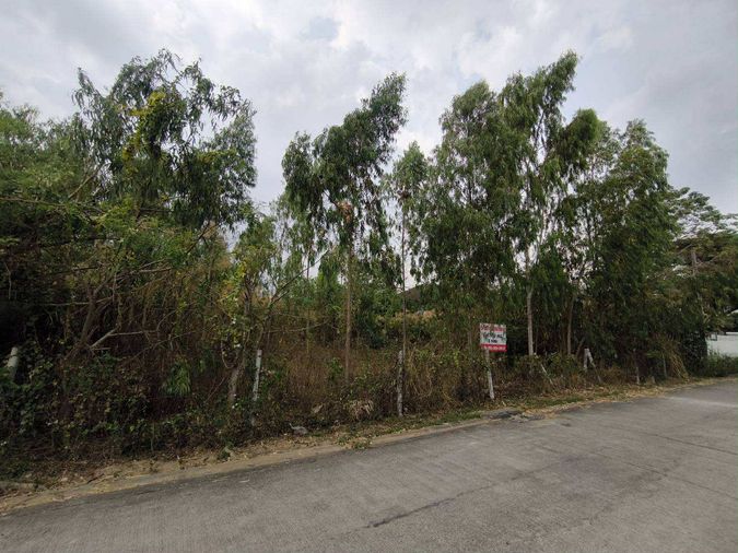 ขายที่ดิน 340 ตร.ว. เขตหนองแขม