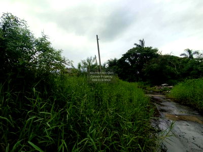 ที่ดิน เขตหนองจอก : ขายที่ดินเปล่า  ฉลองกรุง ริเวอร์วิลล์ รีสอร์ท ลำผักชี เขต หนองจอก กรุงเทพ CX-122724 ✅ ทักไลน์ @connexproperty ตอบทันที ทีมงานมืออาชีพ ✅