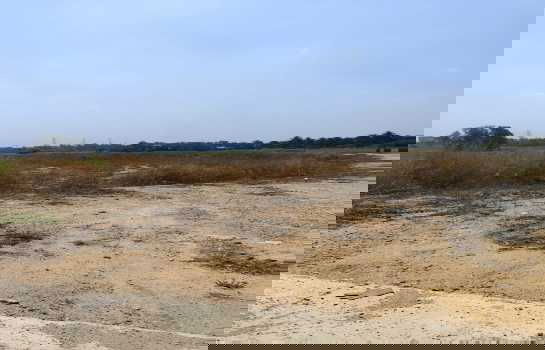 รูป ขายที่ดิน สีม่วงลาย 26-1-52 ไร่ บ่อวิน ศรีราชา ชลบุรี - รูปที่ 1/8