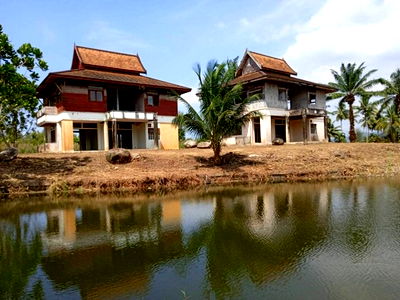 Land for sale Phangnga : FOR SALE  LAND PROPERTY  98652000 BAHT.