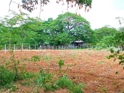 1-3-36 ไร่ โฉนดครุฑแดง ที่ดิน มวกเหล็ก สระบุรี