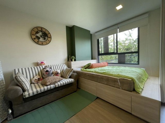 รูป C6645 ให้เช่า  :  คอนโด  เดอะ มูฟ บางนา ( MRT ศรีเอี่ยม ) 064 665 4666 - รูปที่ 4/22