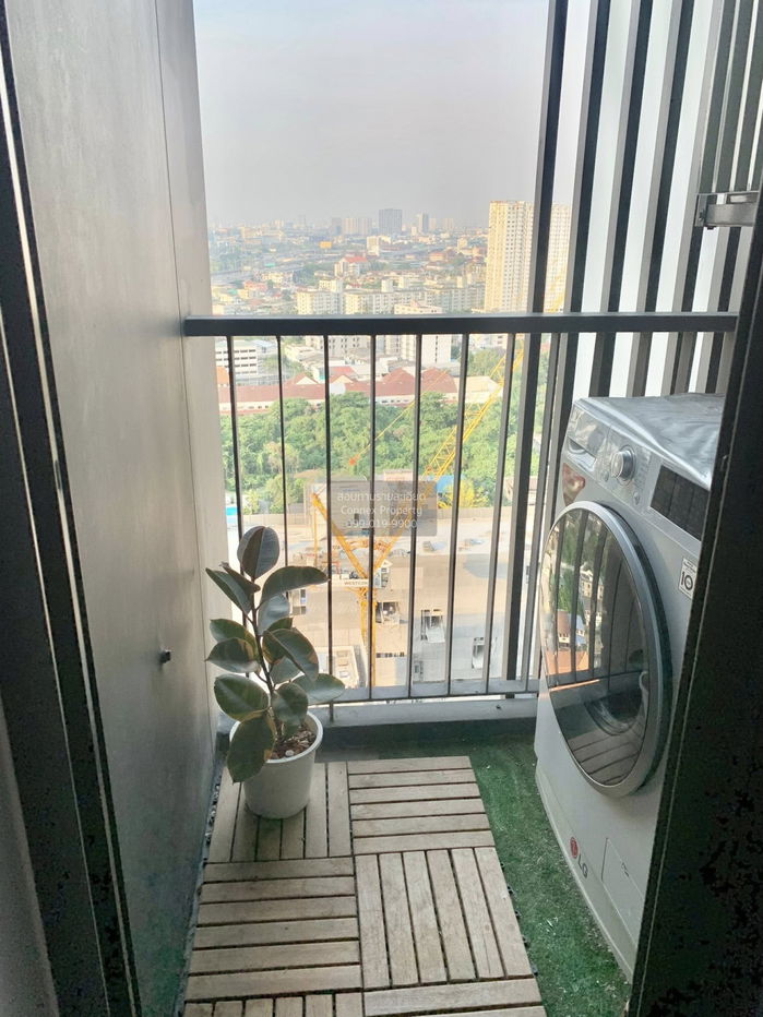 รูป เช่าคอนโด  เดอะ ทรี ริโอ้ บางอ้อ สเตชั่น MRT-บางอ้อ บางอ้อ เขต บางพลัด กรุงเทพ CX-143254 ✅ ทักไลน์ @connexproperty ตอบทันที ทีมงานมืออาชีพ ✅ - รูปที่ 11/11