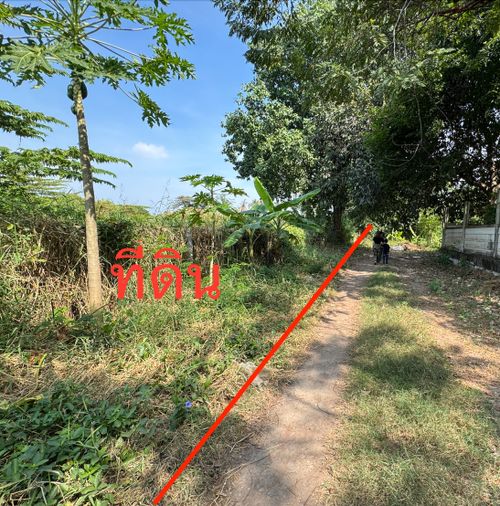 Land for sale, 2442 sq wah, Chom Thong
