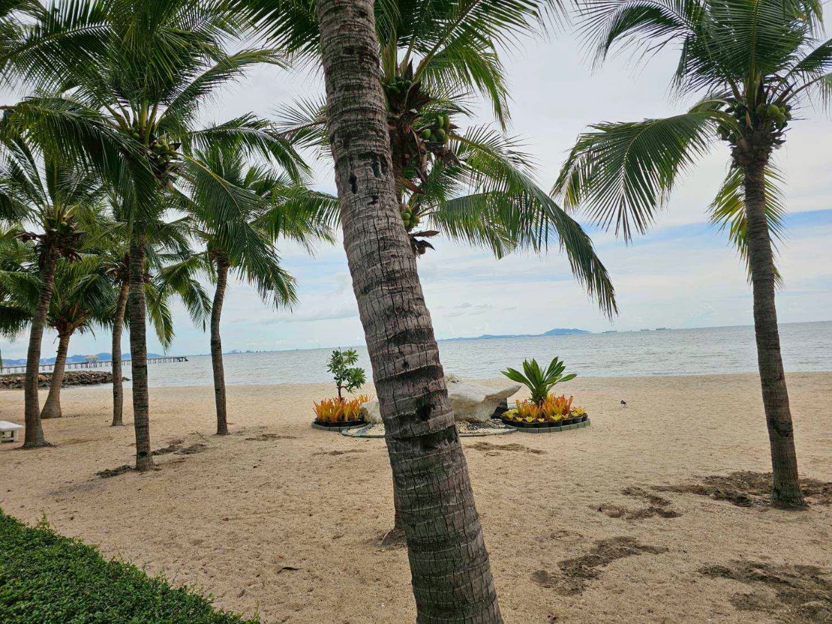 รูป คอนโดริมทะเลชั้น 1 เดินลงหาดได้เลย (บางพระ-บางแสน) - รูปที่ 4/25