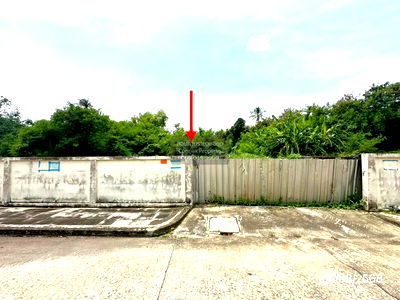 ที่ดิน วิทยาลัยการจัดการเพชรเกษม : ขายที่ดินเปล่า  เดอะ วอเตอร์ เฮ้าส์ กาญจนาภิเษก-พระราม 2 บางแค เขต บางแค กรุงเทพ CX-131780 ✅ ทักไลน์ @connexproperty ตอบทันที ทีมงานมืออาชีพ ✅