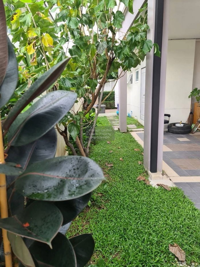 รูป เช่าบ้าน  ศุภาลัย วิลล์ เพชรเกษม 69 วิวสวย หนองแขม เขต หนองแขม กรุงเทพ CX-144174 ✅ ทักไลน์ @connexproperty ตอบทันที ทีมงานมืออาชีพ ✅ - รูปที่ 3/12