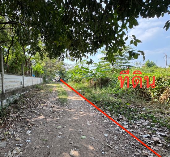 Land for sale, 2442 sq wah, Chom Thong