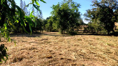 ที่ดิน ทับใต้ ประจวบคีรีขันธ์ : ขายที่ดินเปล่า หัวหิน ทับใต้ 12-3-13 ไร่ ติดถนน ทำเลดี ใกล้แม็คโคร ปราณบุรี