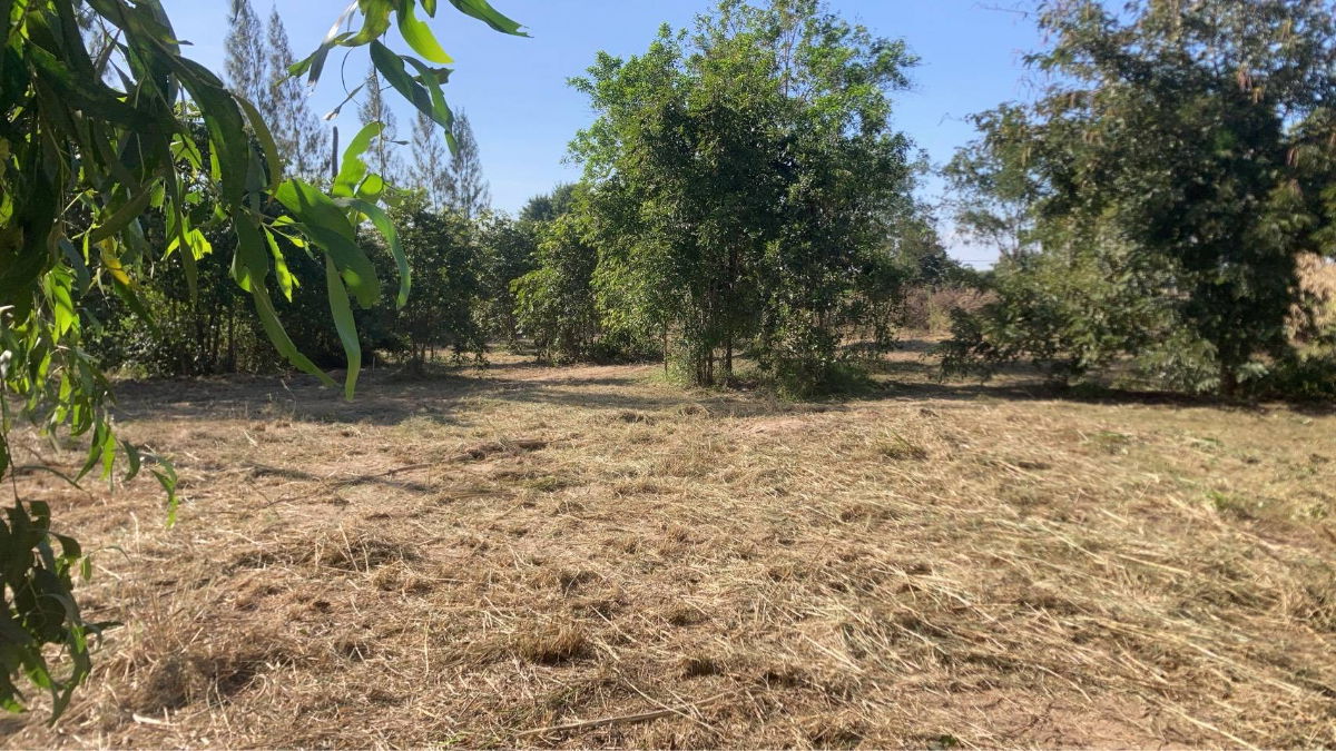 รูป ขายที่ดินเปล่า หัวหิน ทับใต้ 12-3-13 ไร่ ติดถนน ทำเลดี ใกล้แม็คโคร ปราณบุรี - รูปที่ 1/16