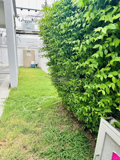 For Sale House , Lanceo Crib Pinklao-Rama 5 , Plai Bang , Bang Kruai , Nonthaburi , CX-95012 ✅ Live chat with us ADD LINE @connexproperty ✅