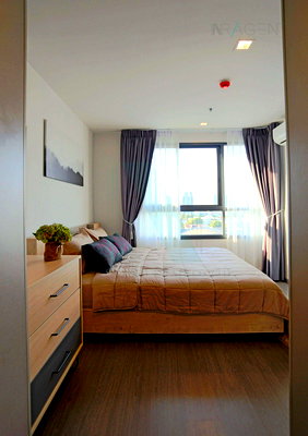 Condos for rent : For Rent Condo IDEO SUKHUMVIT 93 Building C, Floor 11,1 bed room, Room size 34.00 sqm