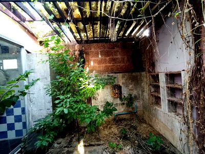 บ้านเดี่ยว สถาบันการแพทย์จักรีนฤบดินทร์ : ขายบ้าน  บ้านษมาภรณ์ หน้ากว้าง บางปลา บางพลี สมุทรปราการ CX-107478 ✅ ทักไลน์ @connexproperty ตอบทันที ทีมงานมืออาชีพ ✅