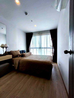 Condos for sale : For Sell Condo IDEO O2 Building B, Floor 15,1 bed room, Room size 32 sqm