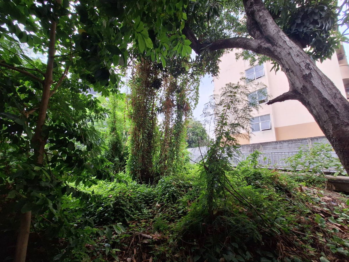 รูป ✨✨✨ขายถูก** ที่ดิน 114 ตร.วา 🏠พร้อมสิ่งปลูกสร้าง  📍สุขุมวิท 93 – ซ.พึ่งมี 21 ใกล้ BTS บางจาก - รูปที่ 18/21