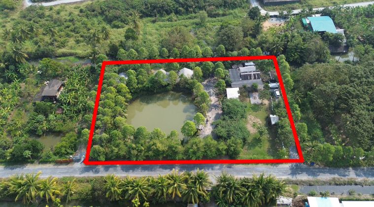 🌿🌊 ให้เช่าที่ดินบรรยากาศธรรมชาติ ติดคลอง – พุทธมณฑลสาย 6 ทำเลดี ใกล้ตลาดน้ำดอนหวาย–วัดไร่ขิง เหมาะทำธุรกิจแนวธรรมชาติ/ไลฟ์สไตล์