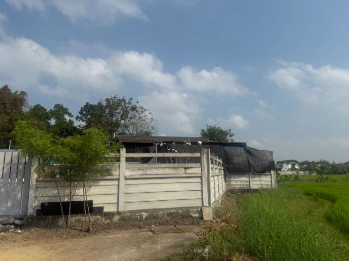 รูป ขายที่ดินถมแล้ว พร้อมรั้ว ถนนบรมราชชนนี76 พื้นที่ 102 ตารางวา วิวทุ่งนา ท้ายซอย ใกล้วงแหวนพุทธมณฑลสาย3 ใกล้ตลาดธนบุรี2 เหมาะปลูกบ้าน/ทำโกดัง - รูปที่ 11/14