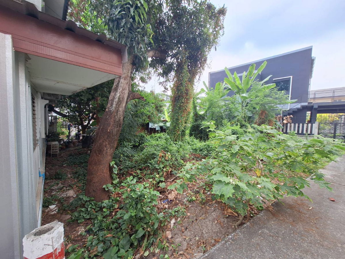 รูป 💙💛❤️ขายถูก** ที่ดิน 114 ตร.วา ✨พร้อมสิ่งปลูกสร้าง  📍สุขุมวิท 93 – ซ.พึ่งมี 21 ใกล้ BTS บางจาก - รูปที่ 15/21