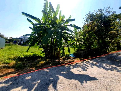 Land for sale Bang Bua Thong Nonthaburi : FOR SALE  LAND PROPERTY  2950000 BAHT.