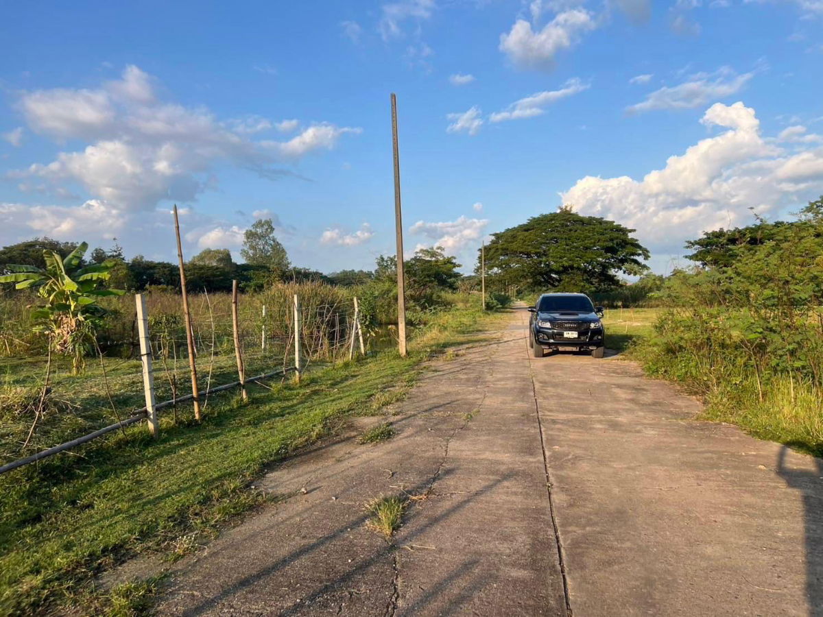 รูป รหัสทรัพย์208LS ขายที่ดิน สันทราย 3-1-72 ไร่ ใกล้ #มหาวิทยาลัยแม่โจ้ - รูปที่ 8/10