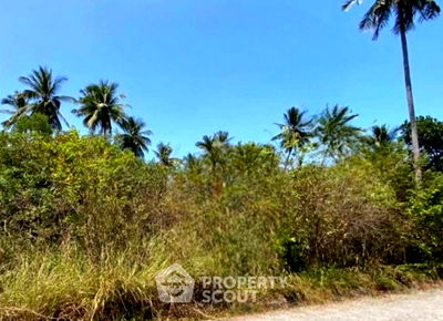 ที่ดิน สุราษฎร์ธานี : ที่ดินสำหรับปล่อยขาย 8,000 ตารางเมตร แถว ใน นาเมือง (ID 2625240)