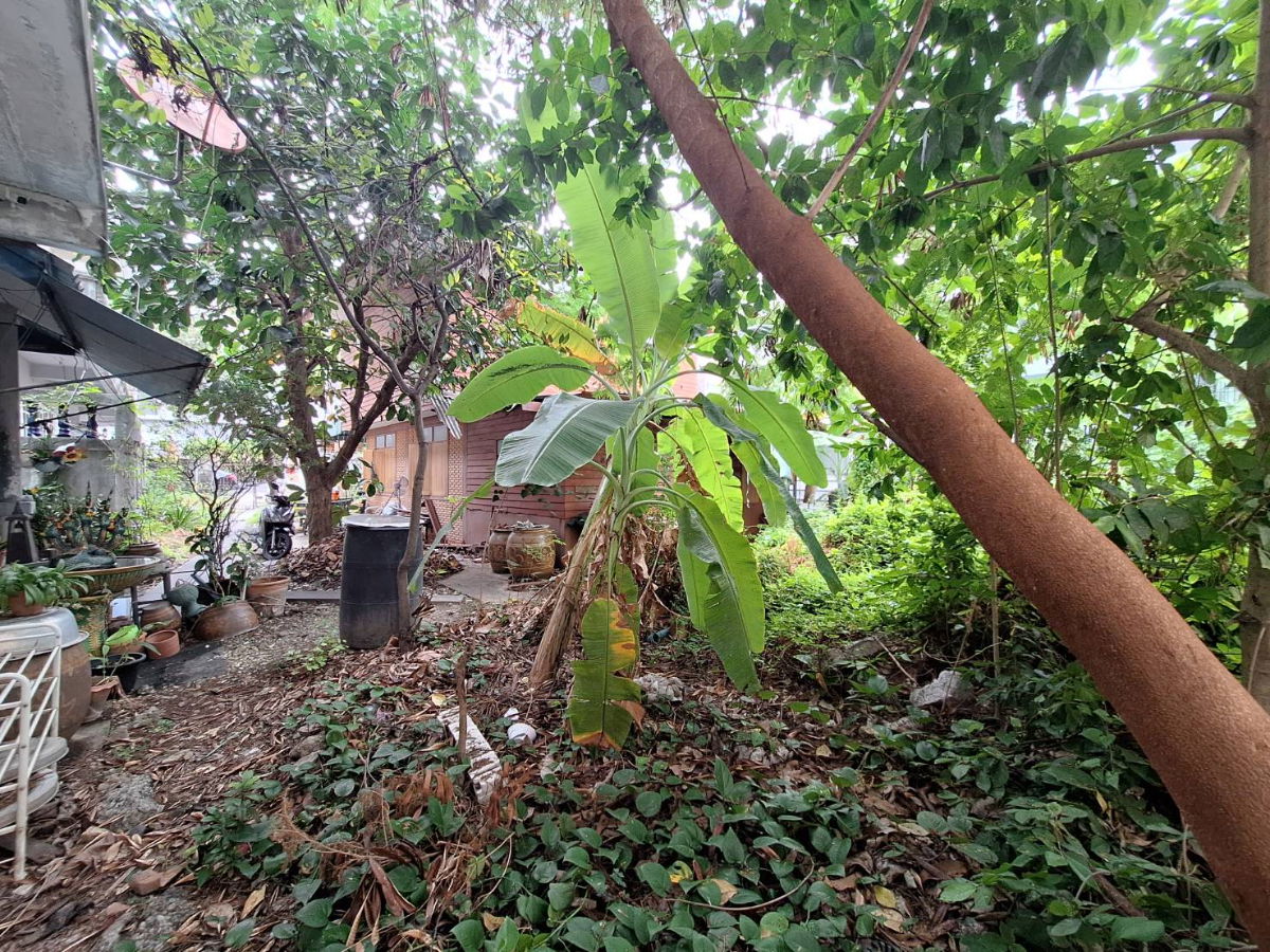 รูป ✨✨✨ขายถูก** ที่ดิน 114 ตร.วา 🏠พร้อมสิ่งปลูกสร้าง  📍สุขุมวิท 93 – ซ.พึ่งมี 21 ใกล้ BTS บางจาก - รูปที่ 13/21