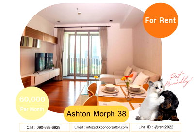 Condos for rent : 🍀🍀🍀 Pet-friendly🐶🐱 For Rent📌 Ashton Morph 38 📲 Line: @rent2022 🚆 BTS Thonglor 🔖PTC : A01465