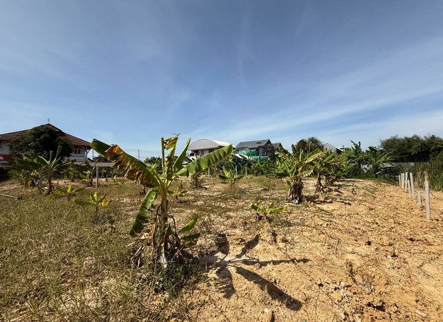 รูป TD1171 ให้เช่าที่ดินแปลงงาม ย่านตลิ่งชัน กรุงเทพมหานคร - รูปที่ 6/8