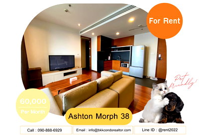 Condos for rent : 🍀🍀🍀 Pet-friendly🐶🐱 For Rent📌 Ashton Morph 38 📲 Line: @rent2022 🚆 BTS Thonglor 🔖PTC : A06854