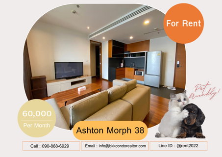 รูปภาพ 🍀🍀🍀 Pet-friendly🐶🐱 ให้เช่า📌แอชตัน มอร์ฟ 38 📲 Line: @rent2022 🚆 BTS ทองหล่อ🔖PTC: A06854